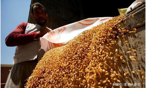 深層戰略還是表象目標？聯合國高官揭露以色列軍事行動的真實意圖